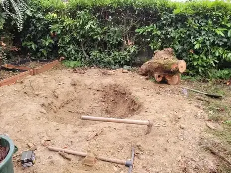 abattage arbre Pornic-3