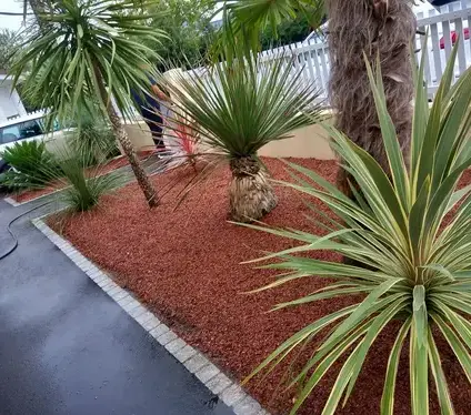 abattage arbre Pornic-5