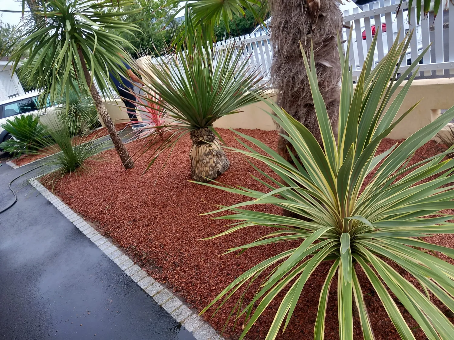 abattage arbre saint nazaire
