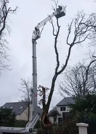 abattage arbre Saint-Père-en-Retz-2