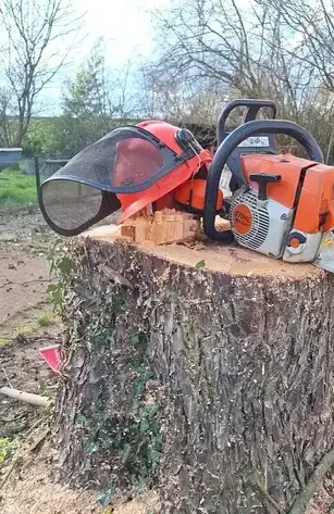 abattage d'arbre Carbay-1