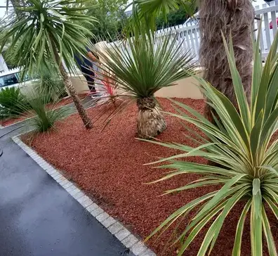 abattage d'arbre à Carbay - image 3