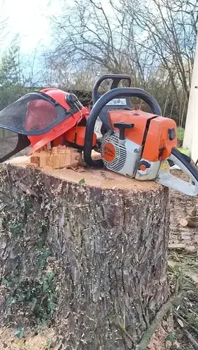 abattage d'arbre à Châteaubriant - image 2