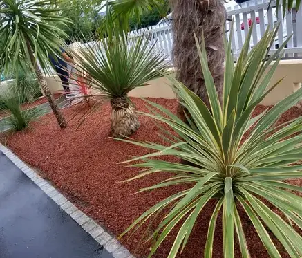 abattage d'arbre à Châteaubriant - image 4