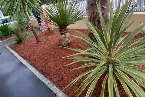 abattage d'arbre à Erbray - image 3