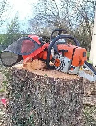 abattage d'arbre Erbray-5