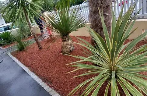 abattage d'arbre à La Chapelle Glain - image 3