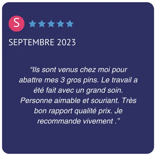 abattage d arbre la chapelle glain