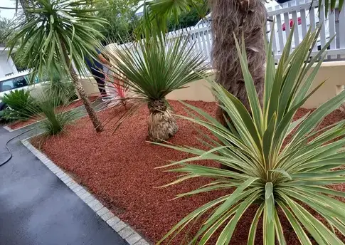 abattage d'arbre Moisdon La Rivère-5