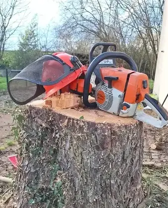 abattage d'arbre à Petite Auverné - image 4