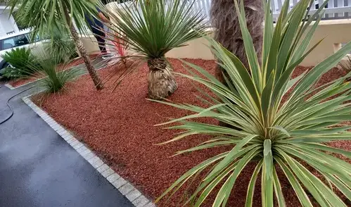 abattage d'arbre Petite Auverné-5