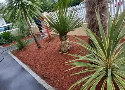 abattage d'arbre Saint Julien de Vouvantes-1