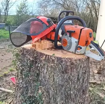 abattage d'arbre à Saint Julien de Vouvantes - image 4