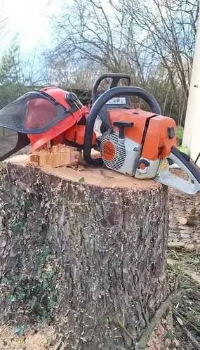 abattage d'arbre Soudan-1