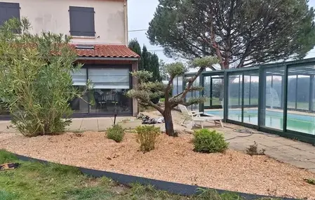 abattage d'arbre à Soudan - image 4