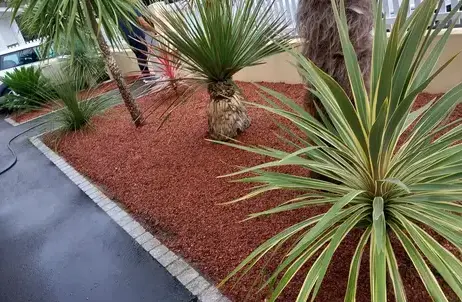 abattage d'arbre Soudan-5