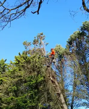 aménagement extérieur Carbay-1