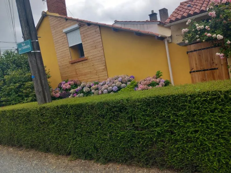 amenagement exterieur carbay