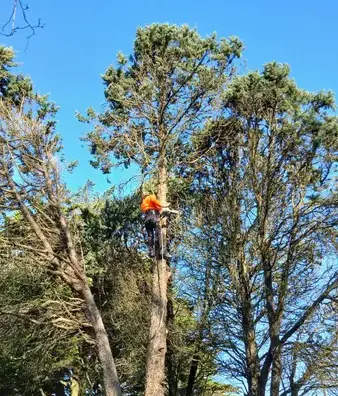 aménagement extérieur à Carbay - image 3