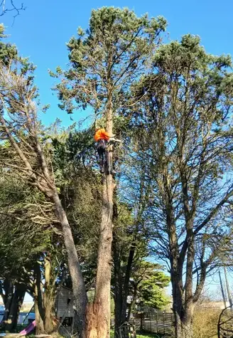 aménagement extérieur Châteaubriant-1