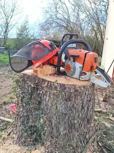 aménagement extérieur à Châteaubriant - image 2