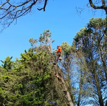 aménagement extérieur à Châteaubriant - image 3