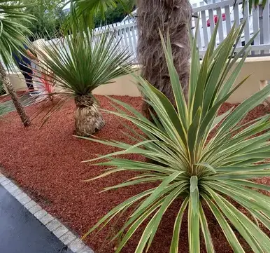 aménagement extérieur à Châteaubriant - image 4