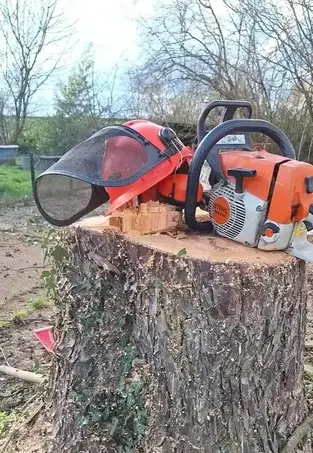 aménagement extérieur Erbray-1