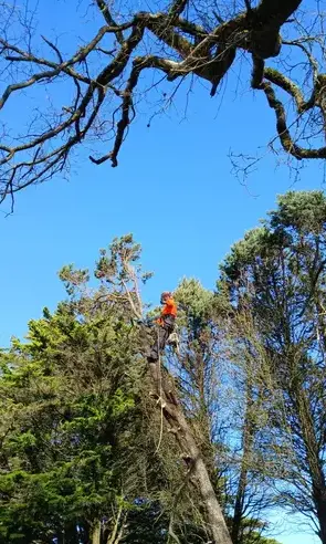 aménagement extérieur Erbray-5