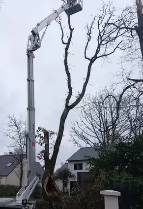 aménagement extérieur Guérande-5