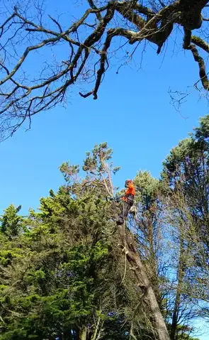 aménagement extérieur à La Chapelle Glain - image 2