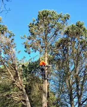 aménagement extérieur à La Chapelle Glain - image 3