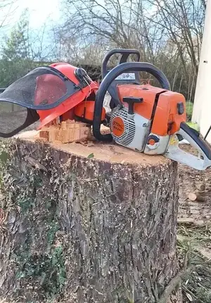 aménagement extérieur Moisdon La Rivère-1