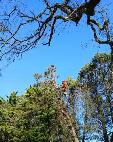 aménagement extérieur à Moisdon La Rivère - image 2