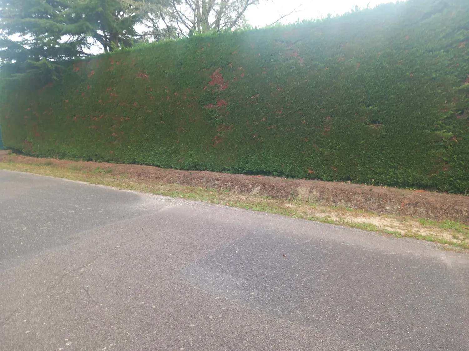 amenagement exterieur moisdon la rivere