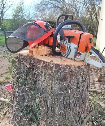 aménagement extérieur Petite Auverné-1