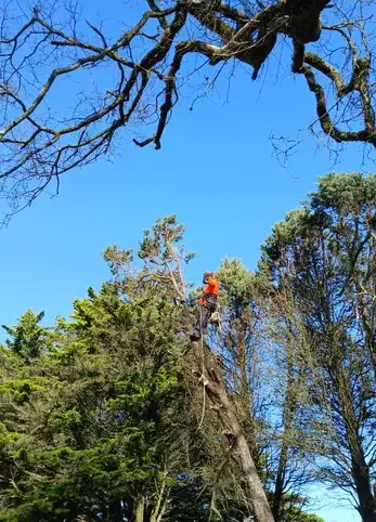 aménagement extérieur Petite Auverné-5