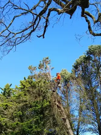 aménagement extérieur Saint Julien de Vouvantes-1