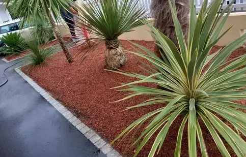 aménagement extérieur à Saint Julien de Vouvantes - image 2