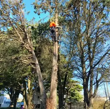 aménagement extérieur à Saint Julien de Vouvantes - image 3