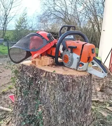 aménagement extérieur à Saint Julien de Vouvantes - image 4