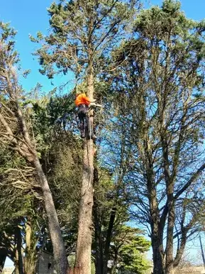 aménagement extérieur Soudan-1