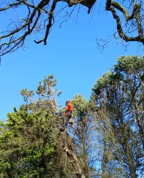 aménagement extérieur à Soudan - image 2