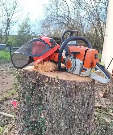 aménagement extérieur à Soudan - image 3