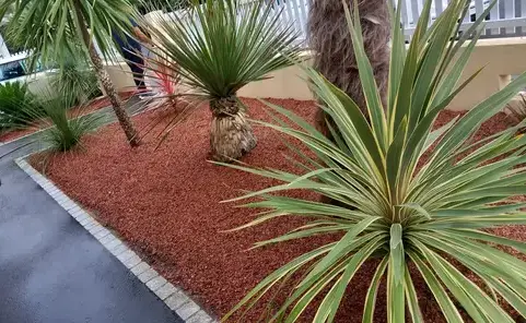 aménagement extérieur à Soudan - image 4