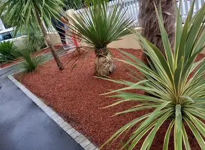 arboriste à Carbay - image 2