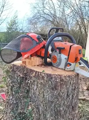 arboriste à Châteaubriant - image 4