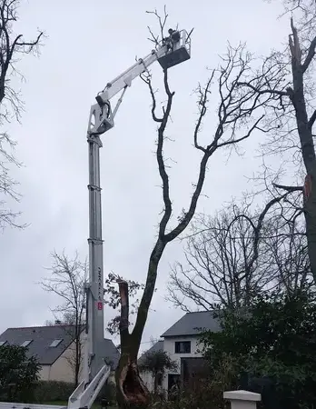 arboriste Guérande-4