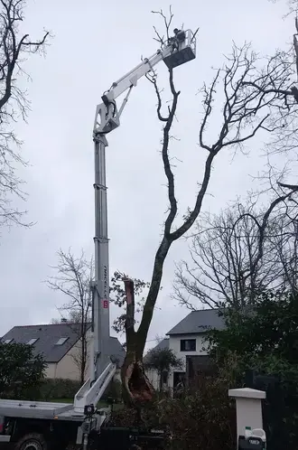 arboriste La Baule-Escoublac-1