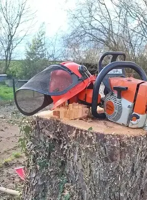 arboriste à La Chapelle Glain - image 3
